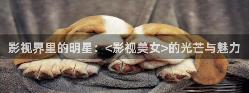 理论电影完全部：影视界里的明星：<影视美女>的光芒与魅力