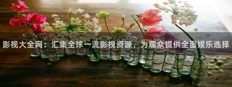 神马午夜理论电影：影视大全网：汇集全球一流影视资源，为观众提供全面娱乐选择