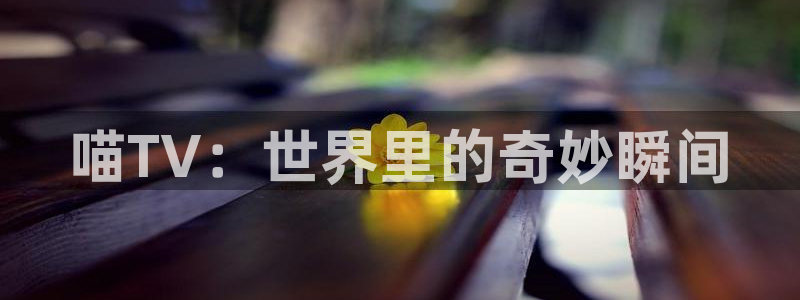 k8理论片经典网：喵TV：世界里的奇妙瞬间
