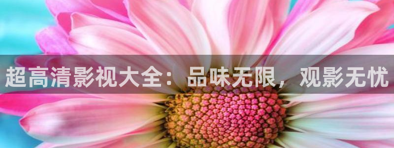 美国理论电影在线看：超高清影视大全：品味无限，观影无忧