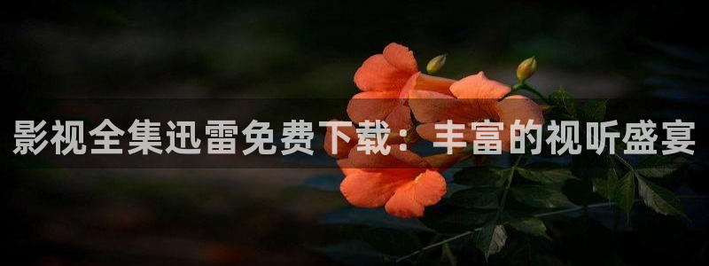 亚洲电影成人理论：影视全集迅雷免费下载：丰富的视听盛宴