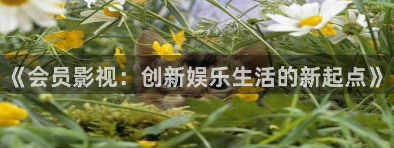 日本理论电影排名前十：《会员影视：创新娱乐生活的新起点》