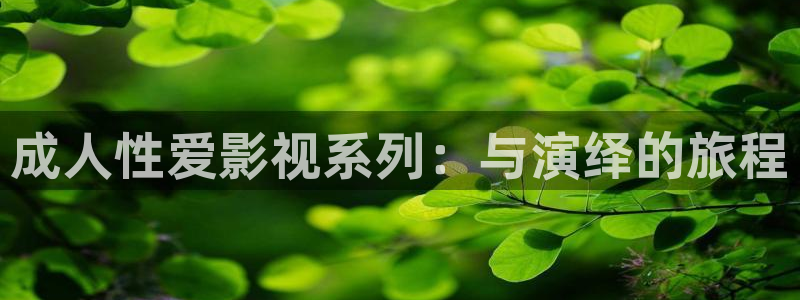 韩国高清理论：成人性爱影视系列：与演绎的旅程