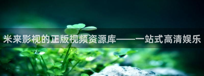 2023最新理论电影：米来影视的正版视频资源库——一站式高清娱乐