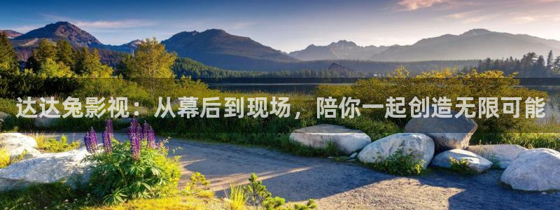 久久理论影院：达达兔影视：从幕后到现场，陪你一起创造无限可能